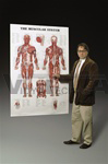 The Muscular System Giant Anatomical Chart